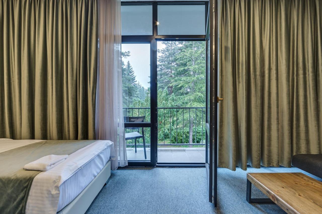 Mountain Resort Gantiadi Borjomi Exterior photo