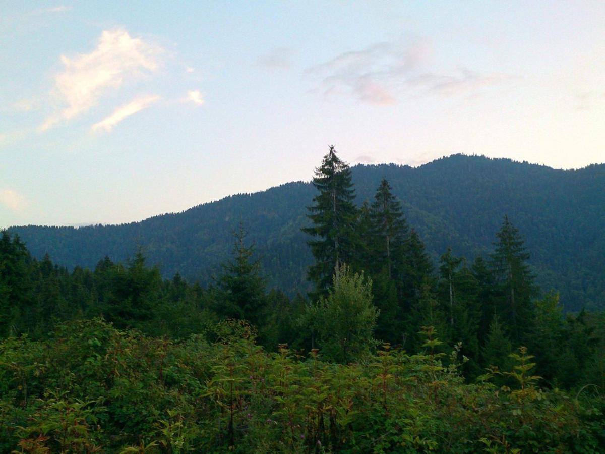 Mountain Resort Gantiadi Borjomi Exterior photo